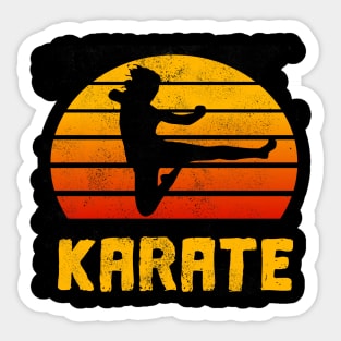 Karate retro vintage design Sticker